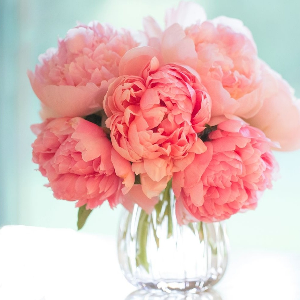 Meet your Posher, Julie